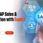 Master SAP Sales & Distribution with Expert Training